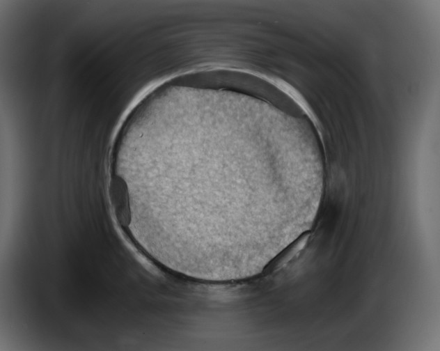 X0000084531005200703231648