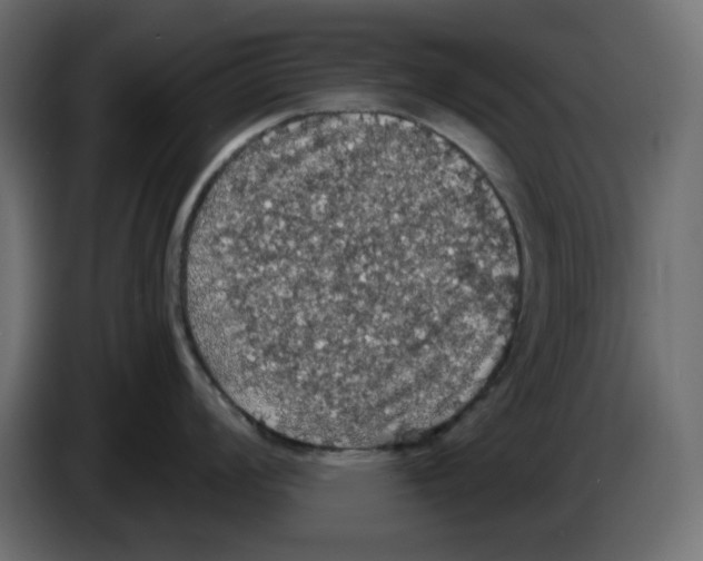 X0000084531008200703231648