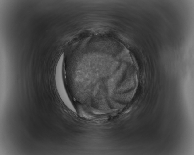 X0000084531010200703231648