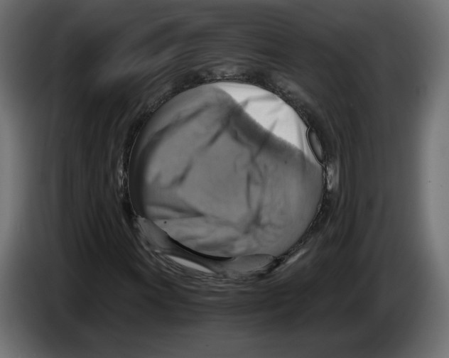 X0000084531011200703231648