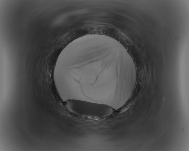 X0000084531013200703231648