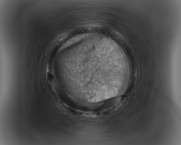 X0000084531014200703231648
