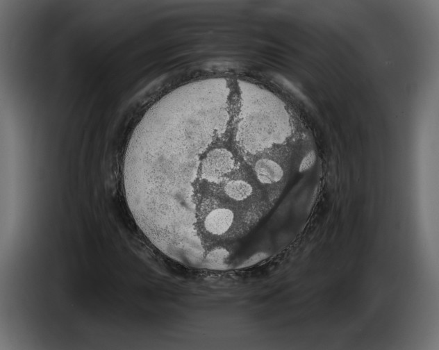 X0000084531015200703231648