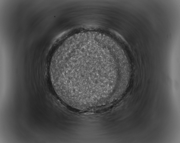X0000084531016200703231648