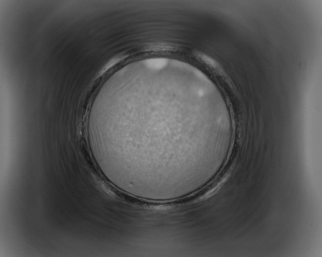 X0000084531017200703231648