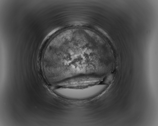 X0000084531018200703231648