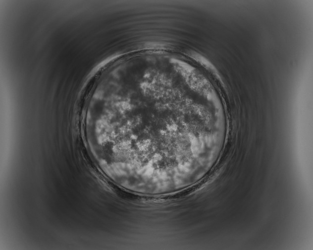 X0000084531019200703231648