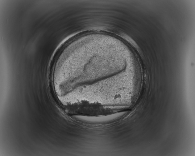 X0000084531020200703231648