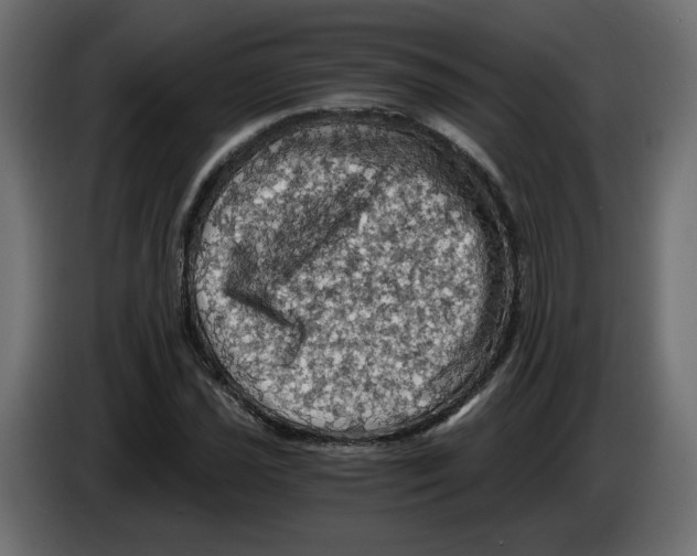 X0000084531021200703231648