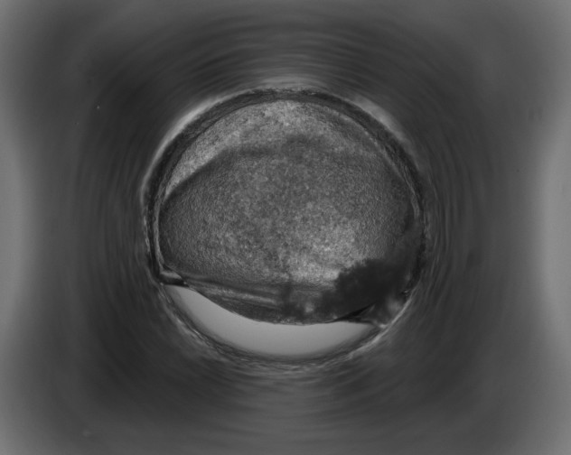 X0000084531022200703231648