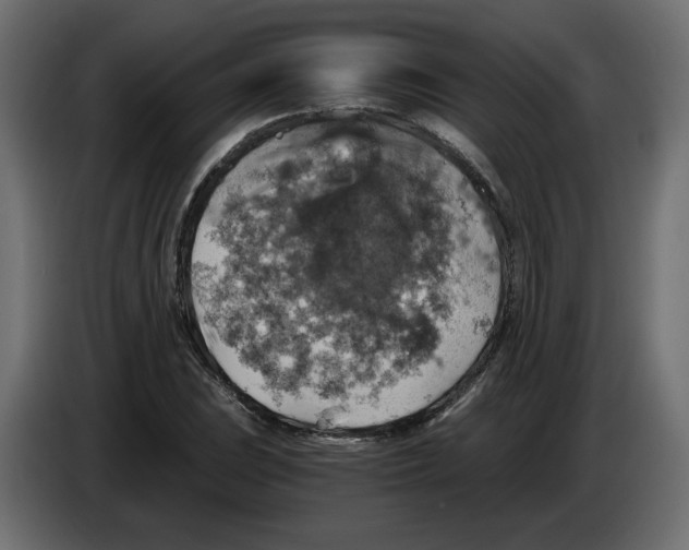 X0000084531023200703231648