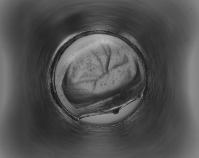 X0000084531024200703231648