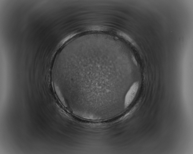 X0000084531025200703231648