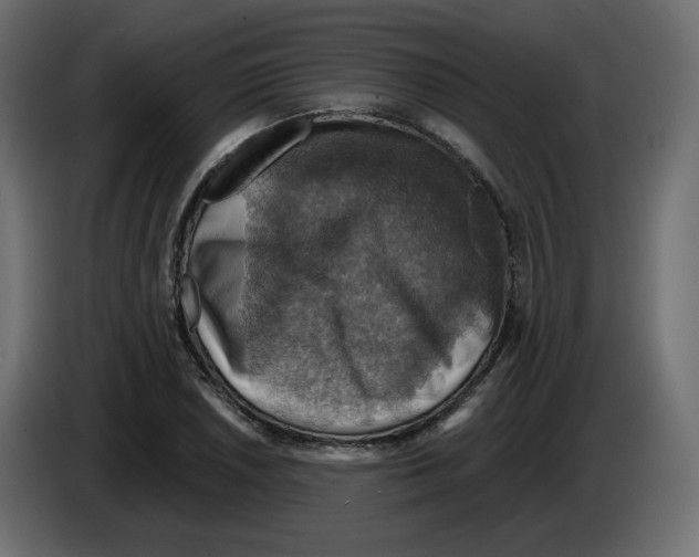 X0000084531026200703231648