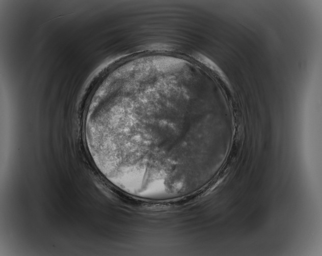 X0000084531027200703231648
