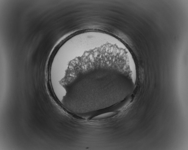 X0000084531028200703231648
