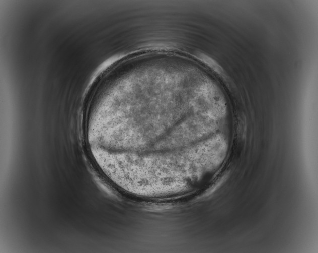 X0000084531030200703231648