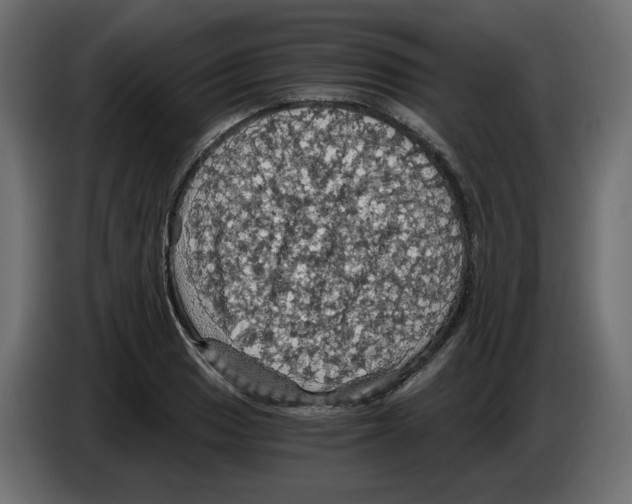 X0000084531033200703231648