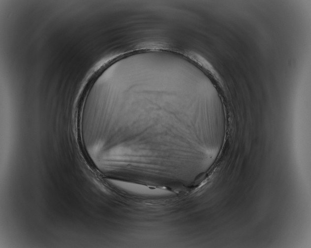 X0000084531035200703231648