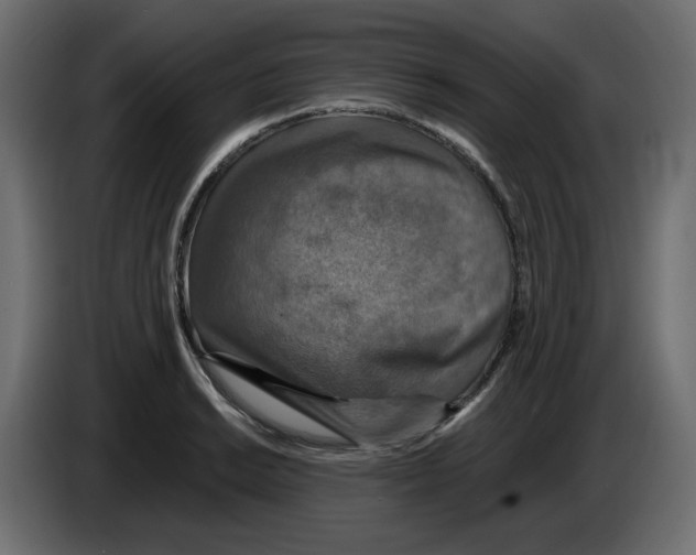 X0000084531038200703231648