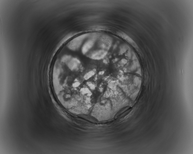X0000084531039200703231648