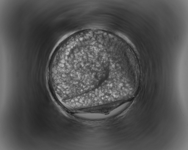 X0000084531040200703231648