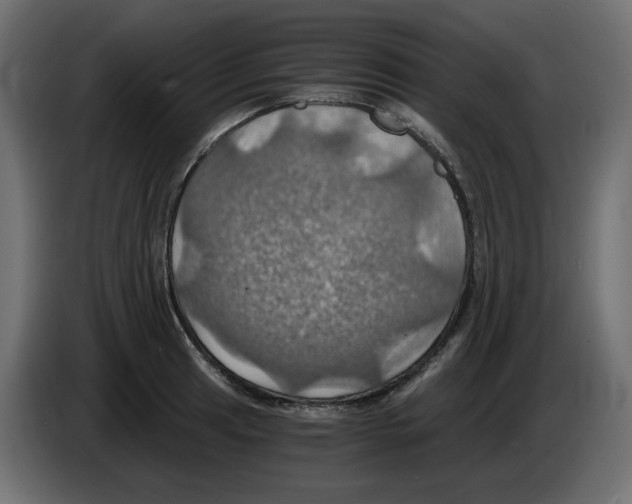 X0000084531041200703231648