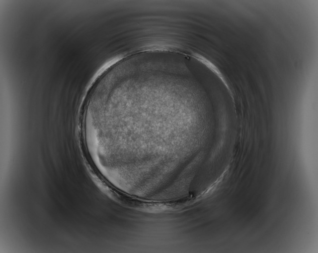 X0000084531042200703231648