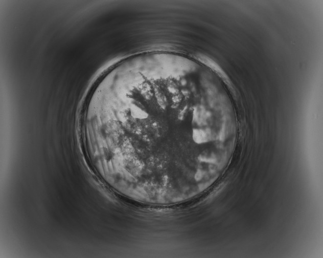 X0000084531043200703231648