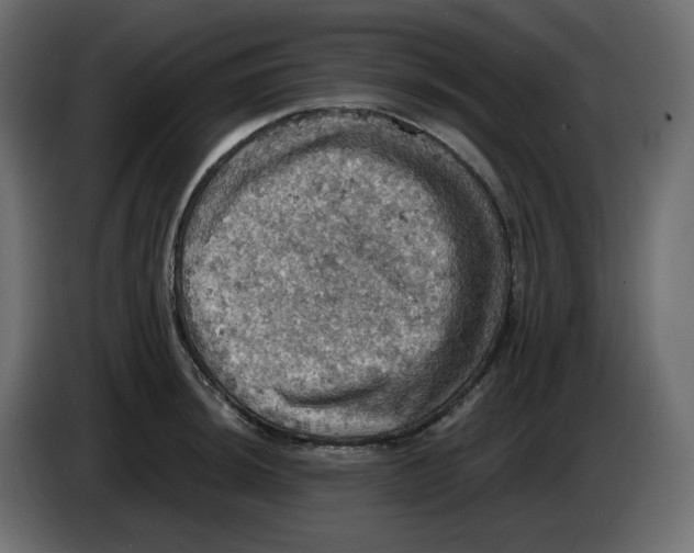 X0000084531044200703231648