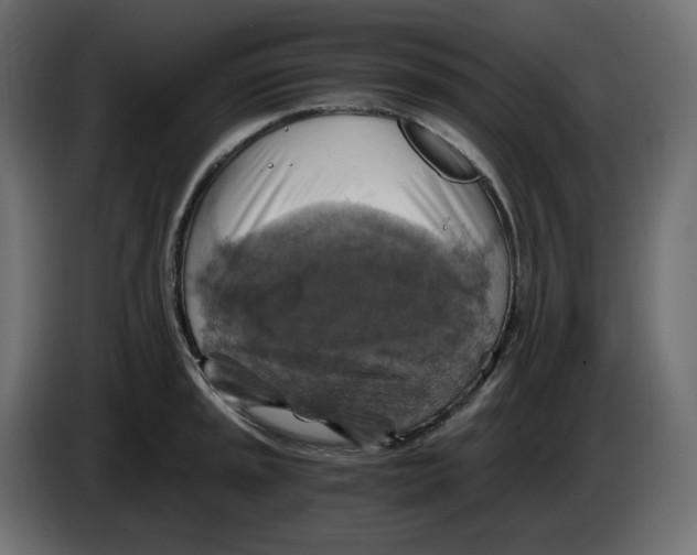 X0000084531045200703231648