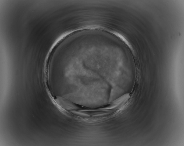 X0000084531046200703231648