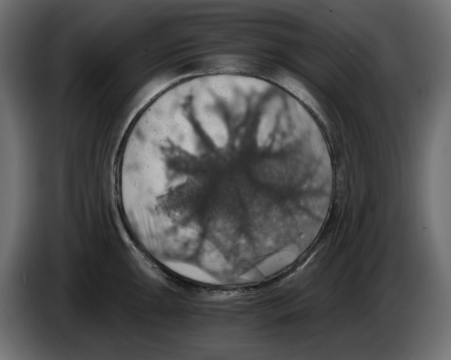 X0000084531047200703231648