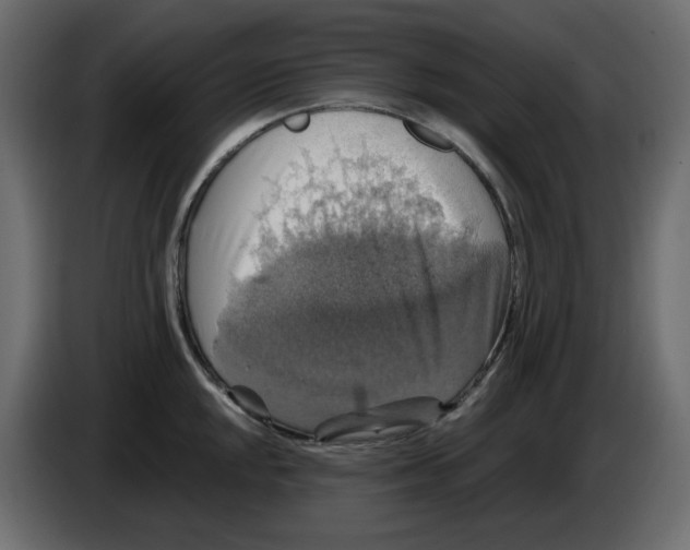 X0000084531048200703231648