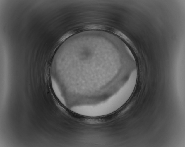X0000084531049200703231648