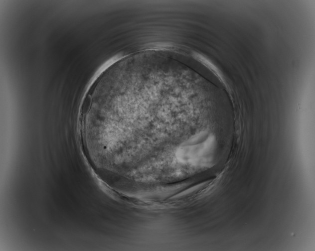 X0000084531050200703231648