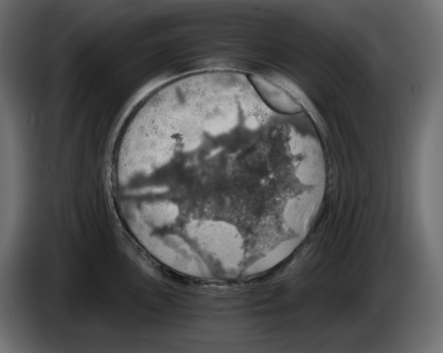X0000084531051200703231648