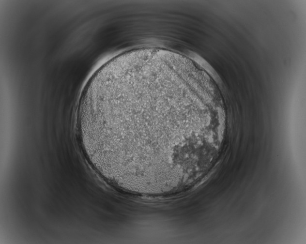 X0000084531052200703231648