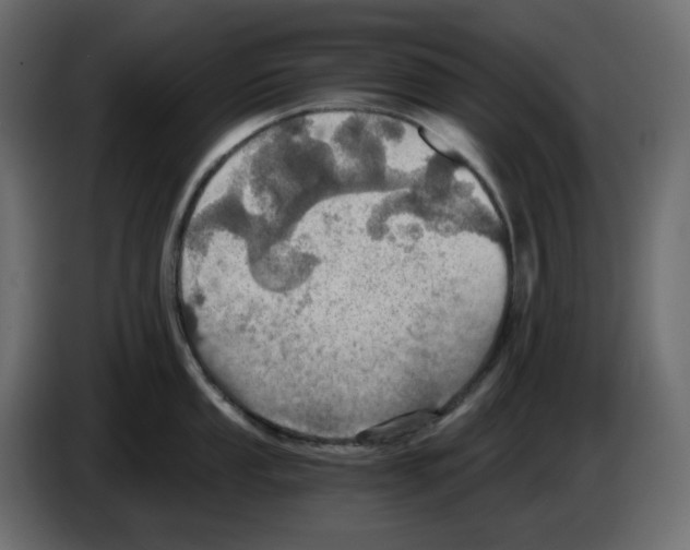 X0000084531053200703231648