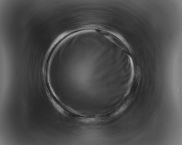 X0000084531054200703231648