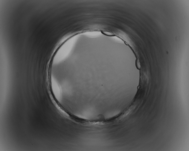 X0000084531055200703231648