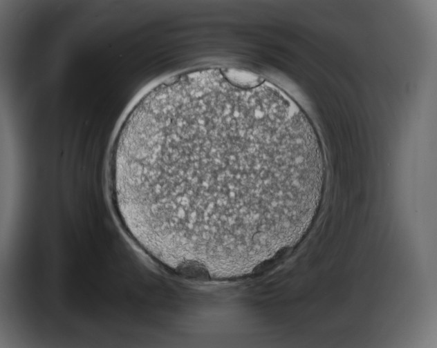 X0000084531056200703231648