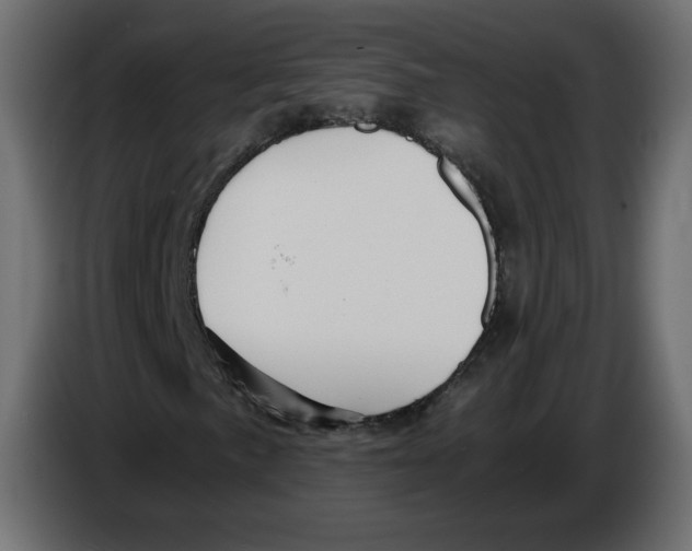 X0000084531057200703231647