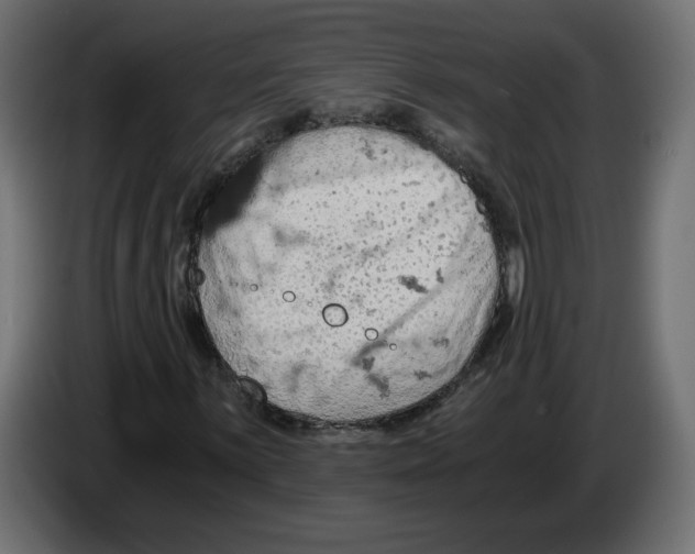 X0000084531059200703231647