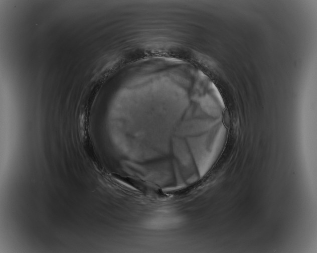 X0000084531060200703231647