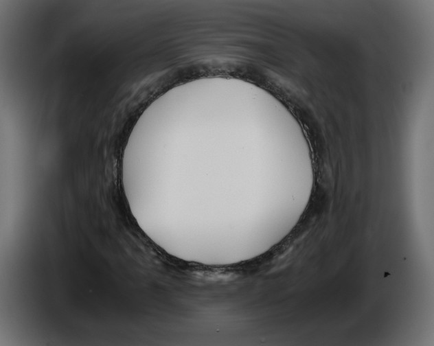 X0000084531061200703231647