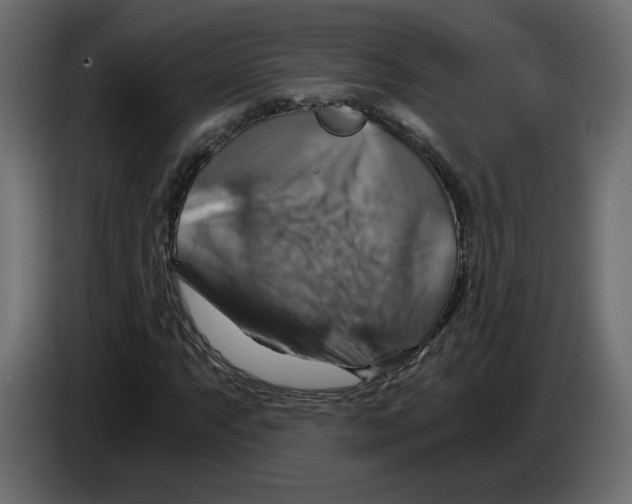 X0000084531063200703231647