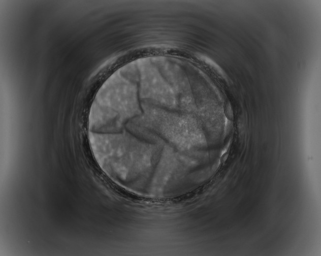 X0000084531064200703231647