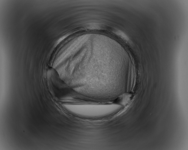 X0000084531065200703231647