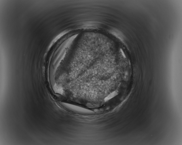 X0000084531066200703231647